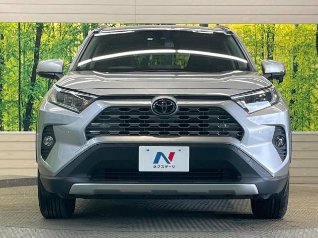 Toyota RAV4 2019-01 183816-14