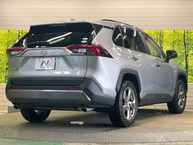 Toyota RAV4 2019-01 183816-17