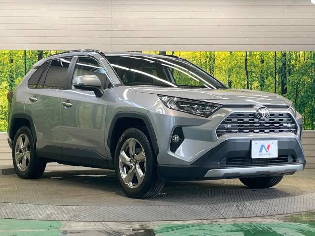 Toyota RAV4 2019-01 183816-16
