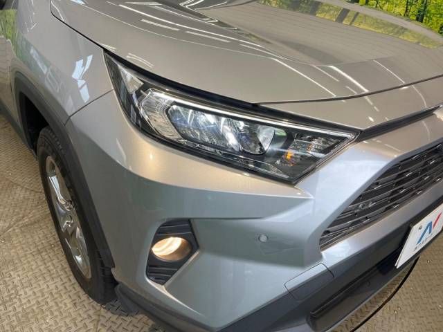 Toyota RAV4 2019-01 183816-12