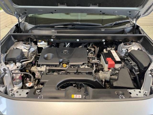 Toyota RAV4 2019-01 183816-18