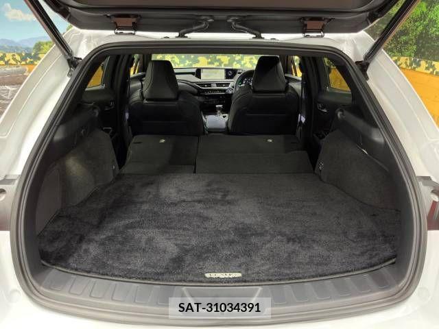 Lexus UX 2021-08 275921-10