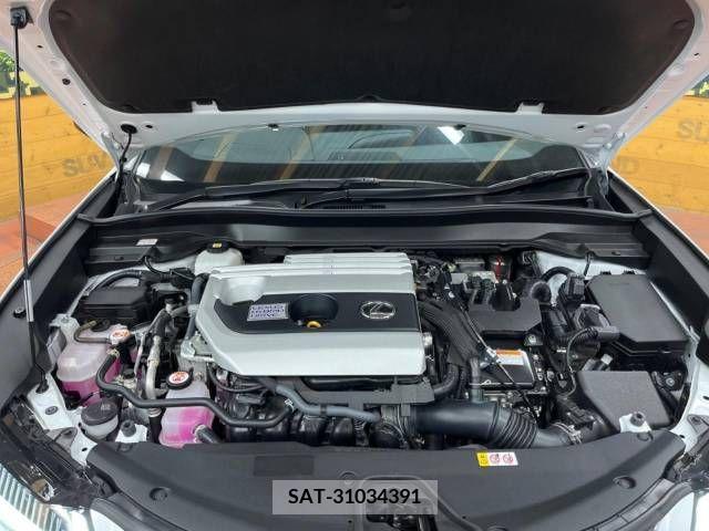 Lexus UX 2021-08 275921-18