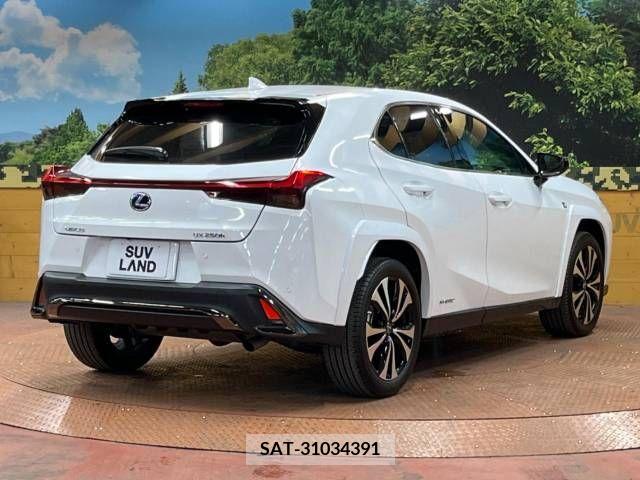 Lexus UX 2021-08 275921-17