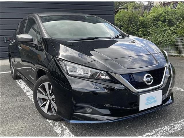 Nissan LEAF 2019-01 196778-0