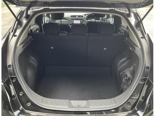 Nissan LEAF 2019-01 196778-4