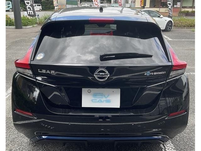 Nissan LEAF 2019-01 196778-3