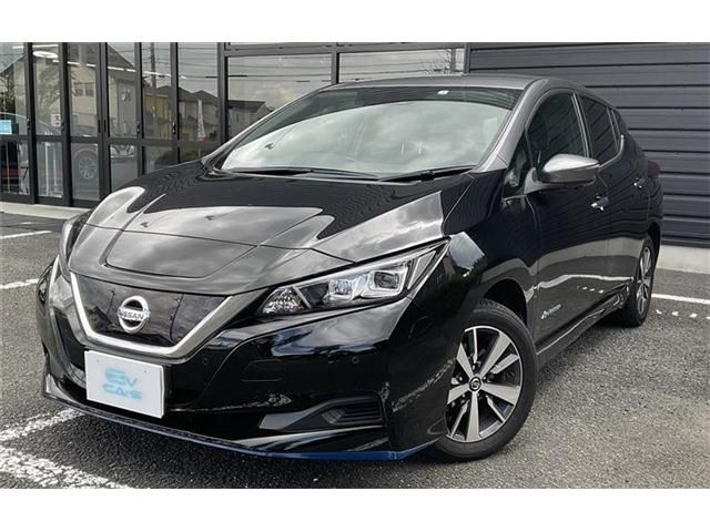 Nissan LEAF 2019-01 196778-2