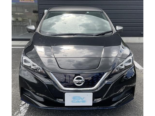 Nissan LEAF 2019-01 196778-1