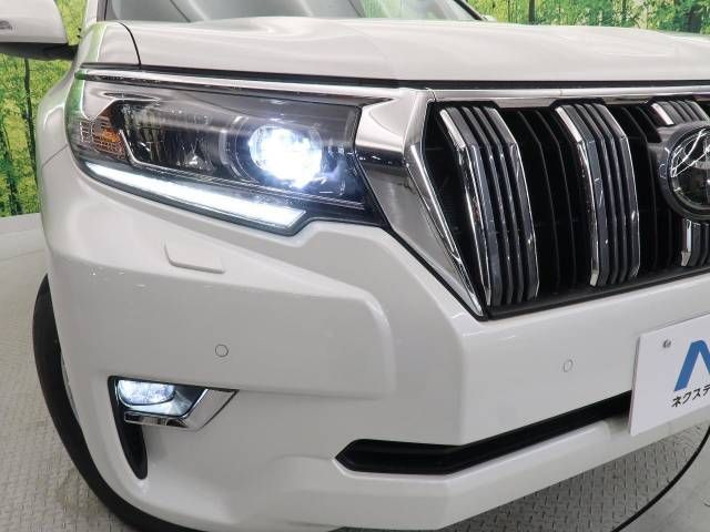 Toyota PRADO 2020-06 15782-13