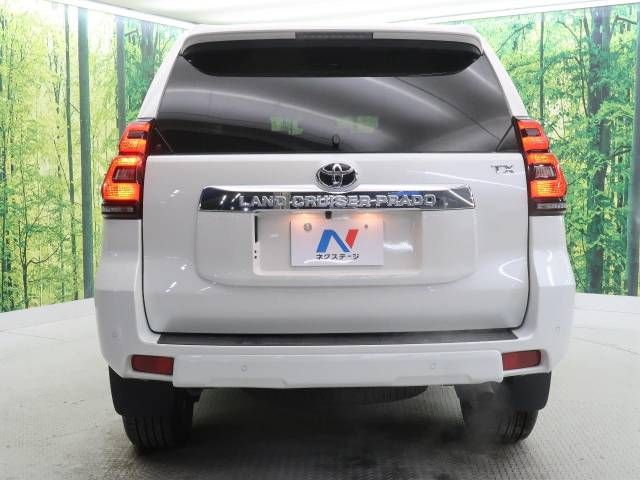 Toyota PRADO 2020-06 15782-16