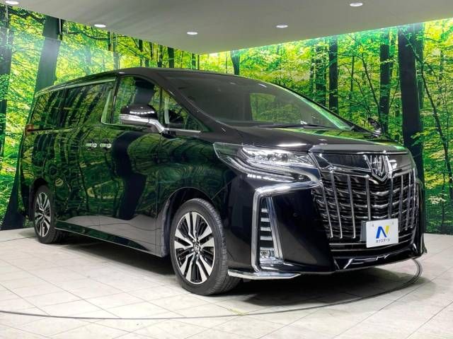 Toyota ALPHARD 2021-08 196011-17