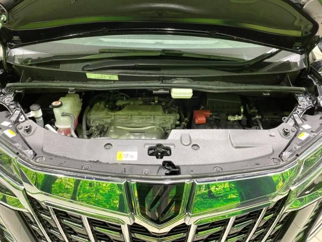 Toyota ALPHARD 2021-08 196011-19