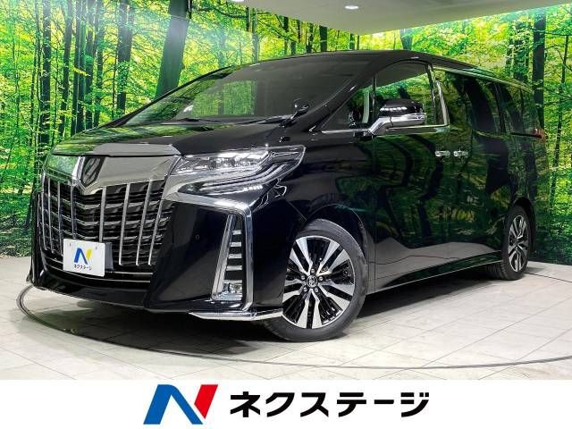 Toyota ALPHARD 2021-08 196011-0