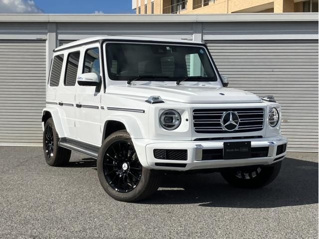 Mercedes Benz G-CLASS 2022-12 189502-2