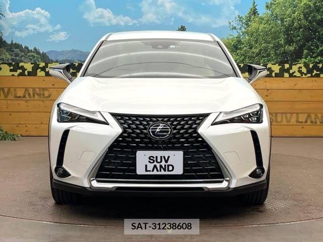 Lexus UX 2019-08 275911-14