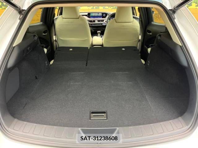 Lexus UX 2019-08 275911-10
