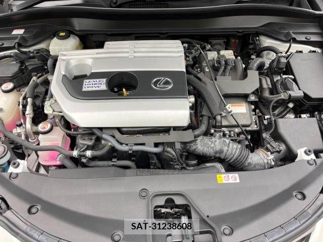 Lexus UX 2019-08 275911-18