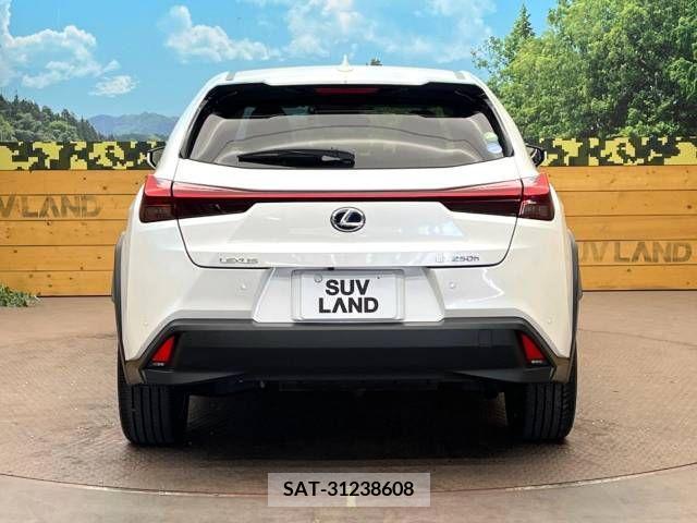 Lexus UX 2019-08 275911-15
