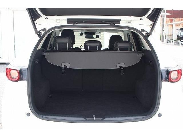 Mazda CX-5 2017-03 21823-17