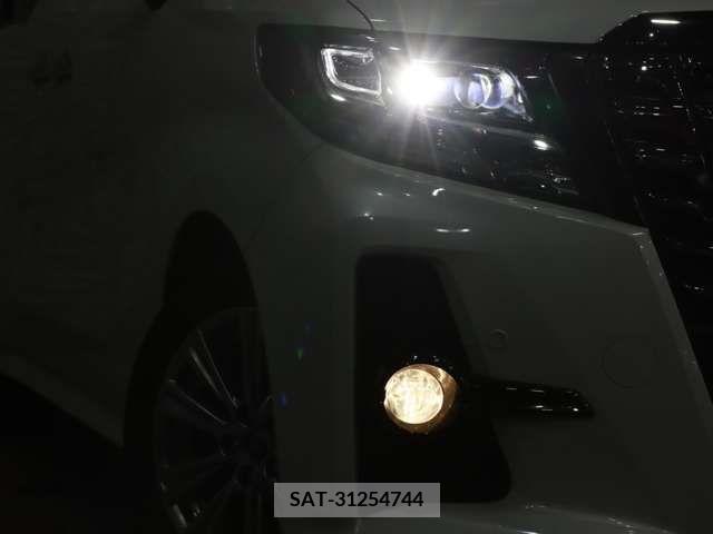 Toyota ALPHARD 2017-04 389067-13