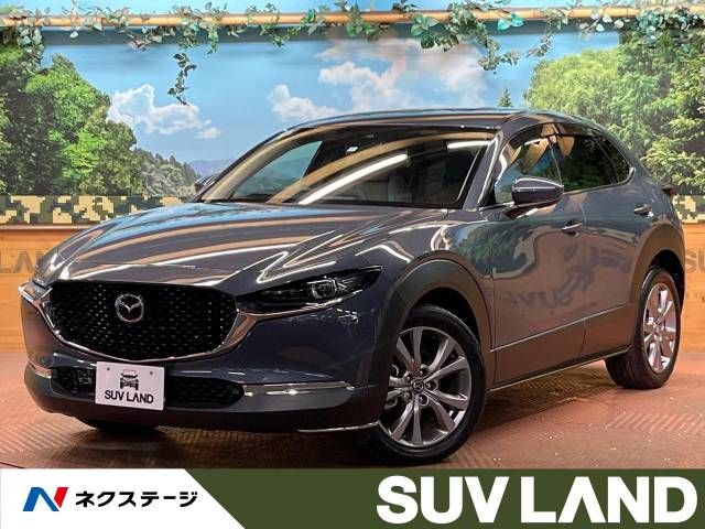 Mazda CX-30 2020-07 10960-0