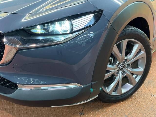 Mazda CX-30 2020-07 10960-14