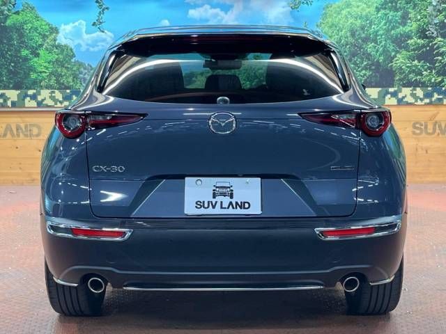 Mazda CX-30 2020-07 10960-17