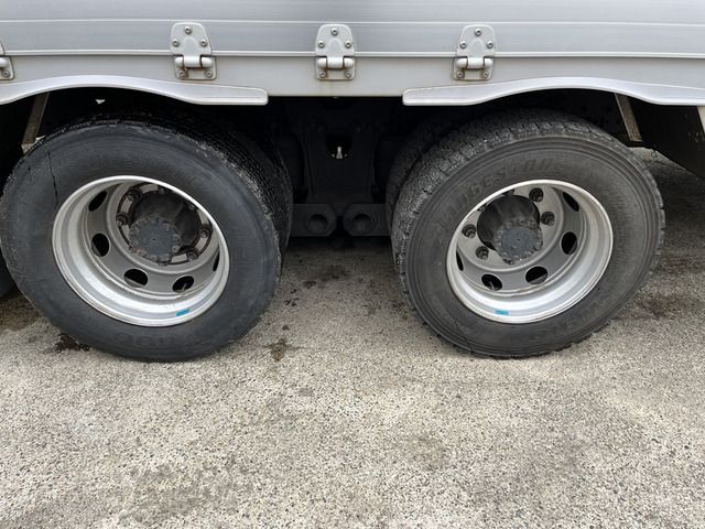Hino PROFIA 2019-03 8728-17