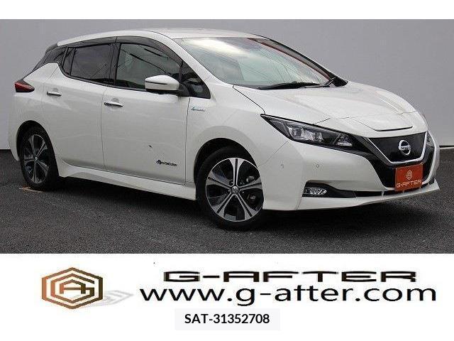 Nissan LEAF 2017-11 385953-0