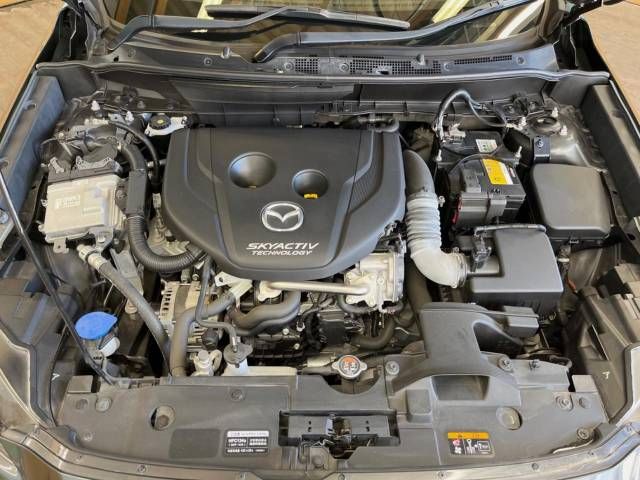 Mazda CX-3 2017-03 24045-18