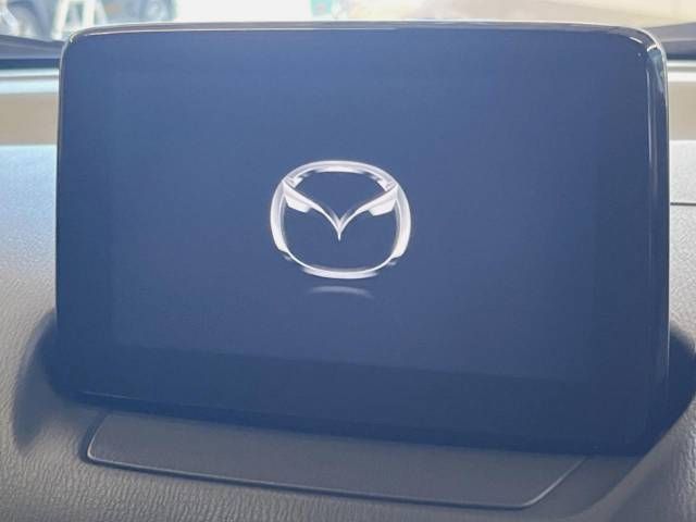 Mazda CX-3 2017-03 24045-7