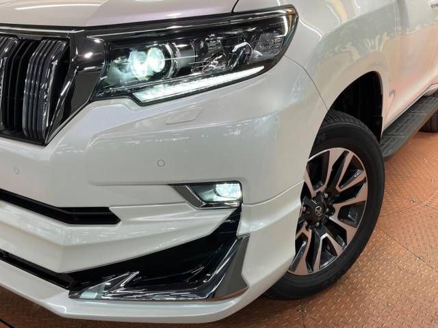 Toyota PRADO 2022-07 196671-14