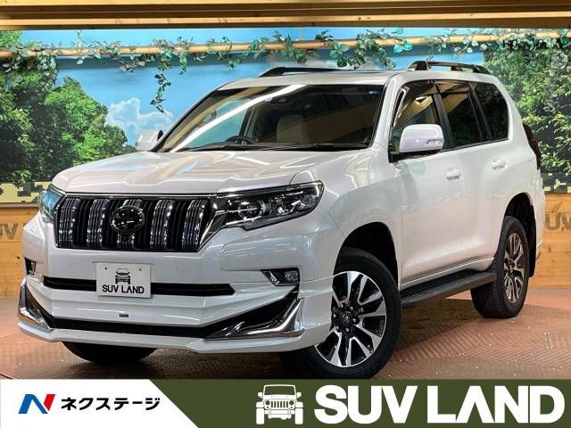 Toyota PRADO 2022-07 196671-0