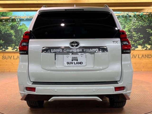 Toyota PRADO 2022-07 196671-17