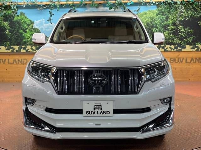 Toyota PRADO 2022-07 196671-16
