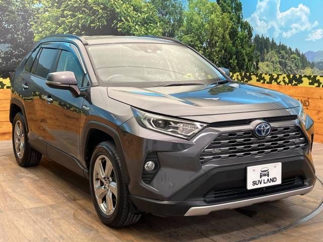 Toyota RAV4 2019-05 11857-16