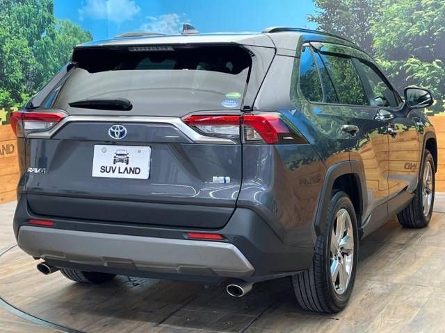 Toyota RAV4 2019-05 11857-17