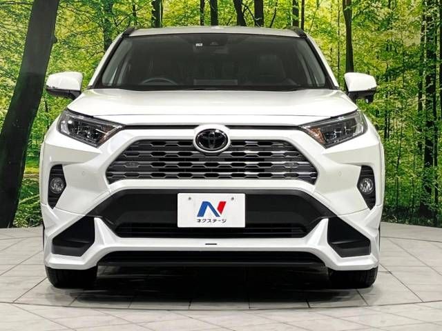 Toyota RAV4 2021-04 193968-14