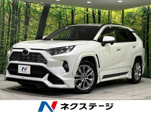 Toyota RAV4 2021-04 193968-0