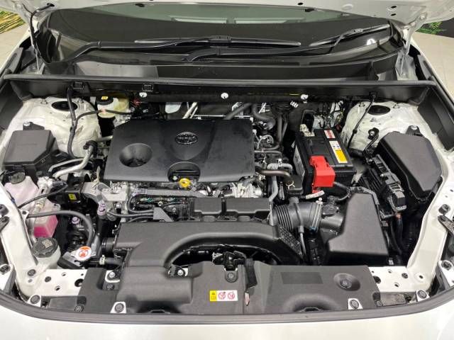 Toyota RAV4 2021-04 193968-18