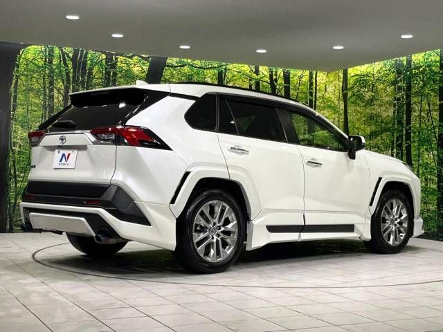 Toyota RAV4 2021-04 193968-17