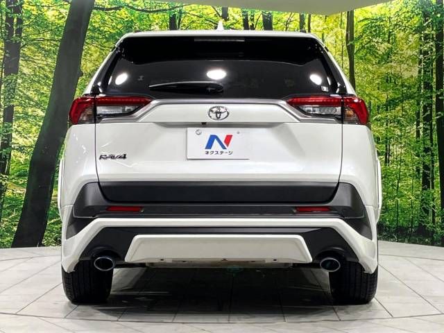 Toyota RAV4 2021-04 193968-15