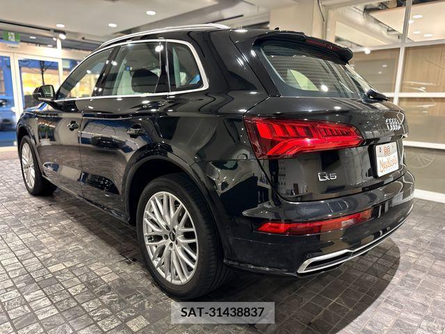Audi Q5 2018-05 219516-7