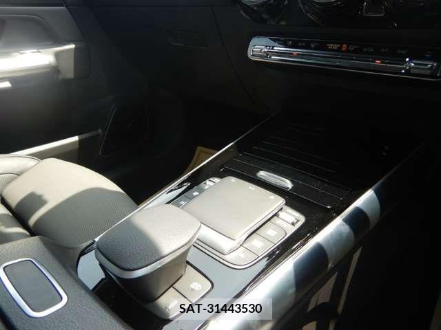 Amg A-Class 2022-12 317683-18