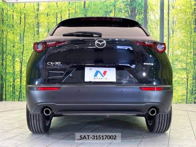 Mazda CX-30 2023-03 204876-14