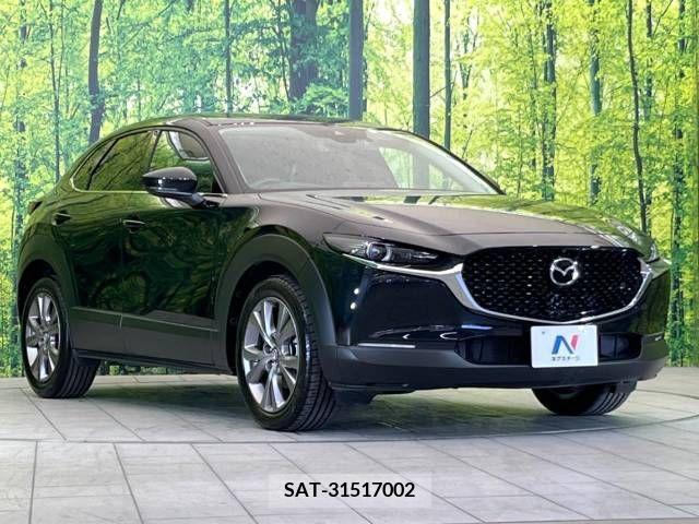 Mazda CX-30 2023-03 204876-15