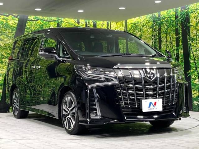 Toyota ALPHARD 2020-04 191432-17
