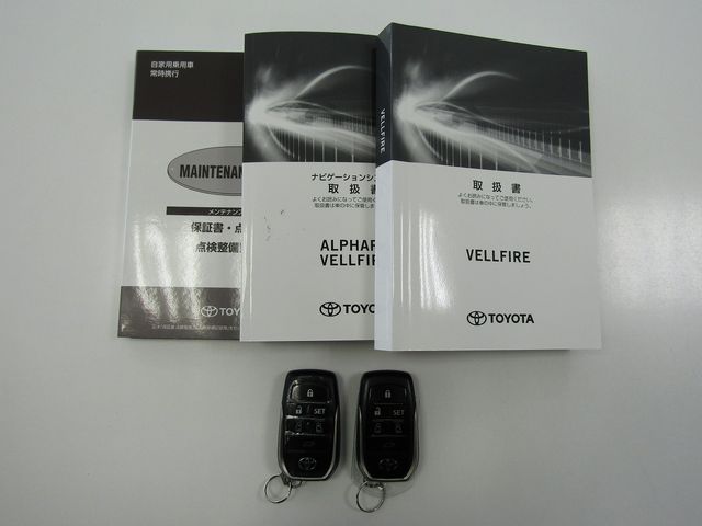 Toyota VELLFIRE 2019-10 195512-28