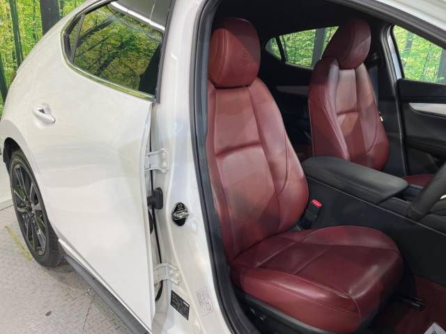 Mazda MAZDA3 2020-06 196199-8